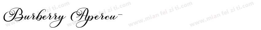 Burberry Apercu字体转换